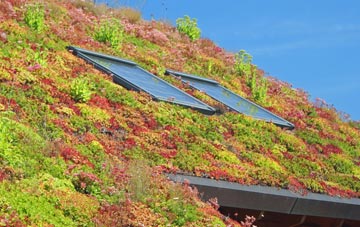 Carrow Hill living roof systems